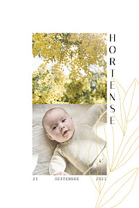 Faire-part de naissance jaune saison jaune Faire-part de naissance jaune saison jaune