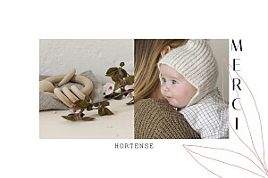 Carte de remerciement rose saison rose Carte de remerciement rose saison rose