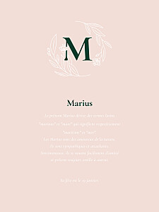 Affichette rose blason floral vert sapin Affichette rose blason floral vert sapin