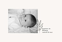Faire-part de baptême Jeune pousse beige Faire-part de baptême Jeune pousse beige