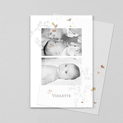 Faire-part de naissance mixte oiseaux multicolores (calque) rose Faire-part de naissance mixte oiseaux multicolores (calque) rose