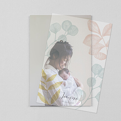 Faire-part de naissance rose feuillaison (calque) rose Faire-part de naissance rose feuillaison (calque) rose