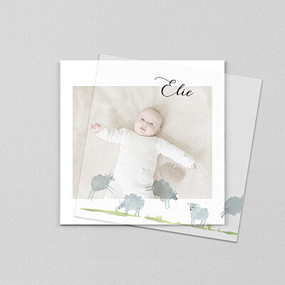 Faire-part de naissance mixte saute mouton (calque) blanc Faire-part de naissance mixte saute mouton (calque) blanc