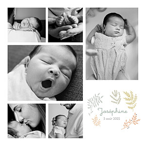 Faire-part de naissance liberty feuillage vert Faire-part de naissance liberty feuillage vert