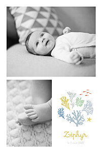 Faire-part de naissance marin jolis coraux jaune Faire-part de naissance marin jolis coraux jaune