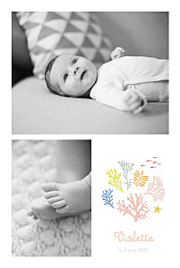 Faire-part de naissance rose jolis coraux rose Faire-part de naissance rose jolis coraux rose