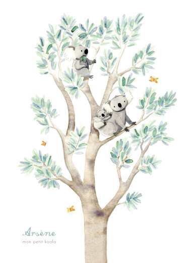Affiche Koalas en famille blanc - Recto