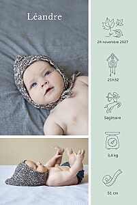 Faire-part de naissance vintage mon histoire en pictos (portrait) vert Faire-part de naissance vintage mon histoire en pictos (portrait) vert
