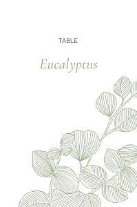 Marque-table mariage envolée d'eucalyptus vert Marque-table mariage envolée d'eucalyptus vert