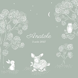 Faire-part de naissance vert histoire du soir vert Faire-part de naissance vert histoire du soir vert