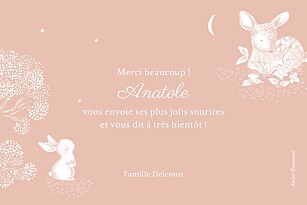 Carte de remerciement rose histoire du soir rose Carte de remerciement rose histoire du soir rose