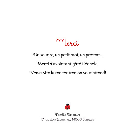 Carte de remerciement Petite Coccinelle photo gris - Verso Carte de remerciement Petite Coccinelle photo gris - Verso