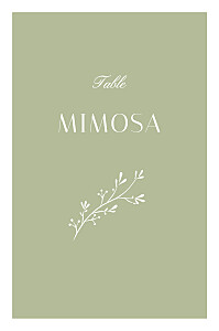 Marque-table mariage brins d'été lichen Marque-table mariage brins d'été lichen
