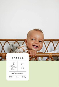 Faire-part de naissance vert étiquette illustrée vert Faire-part de naissance vert étiquette illustrée vert