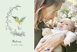Faire-part de naissance petit colibri (paysage) vert Faire-part de naissance petit colibri (paysage) vert