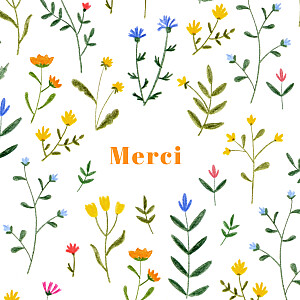 Carte de remerciement nature fleurs sauvages blanc Carte de remerciement nature fleurs sauvages blanc
