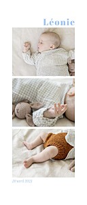 Faire-part de naissance mixte petite fleur sauvage blanc Faire-part de naissance mixte petite fleur sauvage blanc