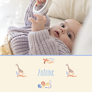 Faire-part de naissance mixte douce savane (4 pages) beige Faire-part de naissance mixte douce savane (4 pages) beige