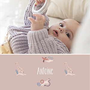 Faire-part de naissance rose douce savane (4 pages) brun Faire-part de naissance rose douce savane (4 pages) brun