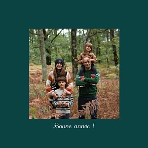 Carte de voeux vert brins d'hiver (4 pages) vert Carte de voeux vert brins d'hiver (4 pages) vert