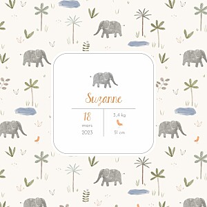 Faire-part de naissance motifs petite oasis beige Faire-part de naissance motifs petite oasis beige