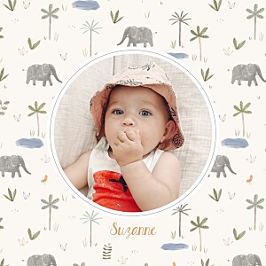 Faire-part de naissance animaux petite oasis (4 pages) beige Faire-part de naissance animaux petite oasis (4 pages) beige