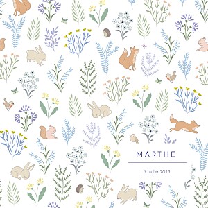 Faire-part de naissance automne-hiver galipette (4 pages) bleu Faire-part de naissance automne-hiver galipette (4 pages) bleu
