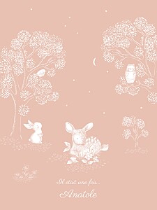 Affiche rose histoire du soir rose Affiche rose histoire du soir rose