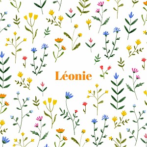 Faire-part de naissance blanc fleurs sauvages (4 pages) blanc Faire-part de naissance blanc fleurs sauvages (4 pages) blanc