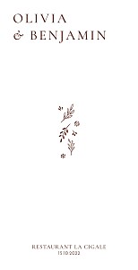 Menu de mariage marron laure de sagazan ii bois de rose Menu de mariage marron laure de sagazan ii bois de rose