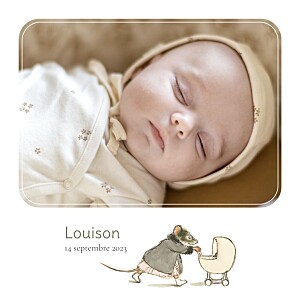 Faire-part de naissance animaux ernest et célestine i blanc Faire-part de naissance animaux ernest et célestine i blanc