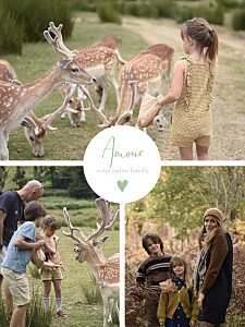 Affichette photos médaillon cœur i vert Affichette photos médaillon cœur i vert