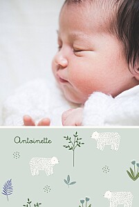 Faire-part de naissance animaux mon petit ourson (portrait) bleu Faire-part de naissance animaux mon petit ourson (portrait) bleu