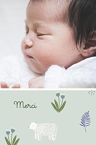 Carte de remerciement mon petit ourson bleu Carte de remerciement mon petit ourson bleu