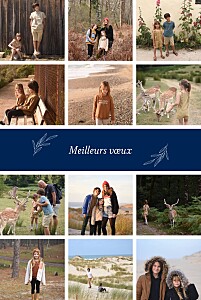 Carte de voeux bleu jeune pousse (12 photos) bleu Carte de voeux bleu jeune pousse (12 photos) bleu