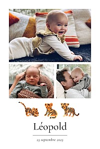 Faire-part de naissance fille petit tigre (portrait) blanc Faire-part de naissance fille petit tigre (portrait) blanc