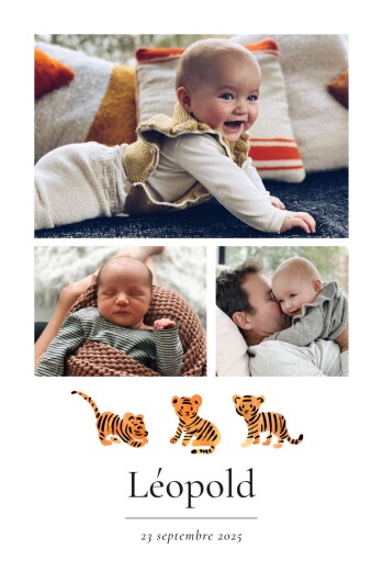 Faire-part de naissance Petit tigre (portrait) Blanc - Recto Faire-part de naissance Petit tigre (portrait) Blanc - Recto
