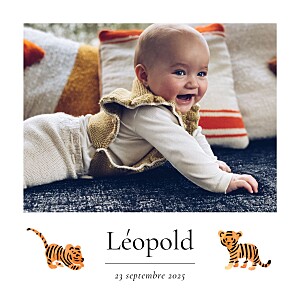 Faire-part de naissance classique petit tigre blanc Faire-part de naissance classique petit tigre blanc