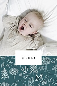 Carte de remerciement avec photo boréal bleu Carte de remerciement avec photo boréal bleu