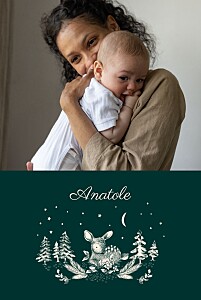 Faire-part de naissance vert histoire de noël vert Faire-part de naissance vert histoire de noël vert
