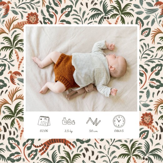 Faire-part de naissance Petite jungle pictos Vert - Recto Faire-part de naissance Petite jungle pictos Vert - Recto