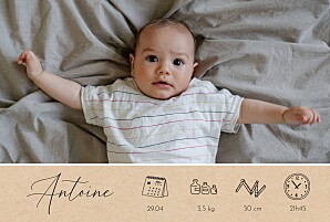 Faire-part de naissance beige calligraphie pictos (paysage) beige Faire-part de naissance beige calligraphie pictos (paysage) beige