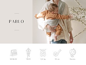 Affichette photo pictos graphiques (paysage) beige Affichette photo pictos graphiques (paysage) beige