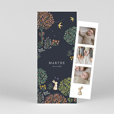Faire-part de naissance marque-page histoire du jardin (marque-page) bleu marine Faire-part de naissance marque-page histoire du jardin (marque-page) bleu marine