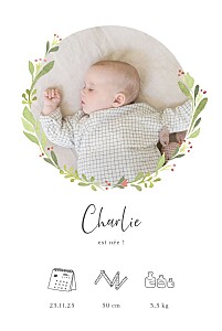 Faire-part de naissance nature cueillette (portrait) blanc Faire-part de naissance nature cueillette (portrait) blanc