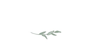 Marque-place mariage classique couronne d'eucalyptus beige Marque-place mariage classique couronne d'eucalyptus beige