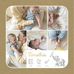 Faire-part de naissance gris petit éléphant pictos kraft Faire-part de naissance gris petit éléphant pictos kraft