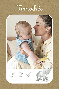 Faire-part de naissance gris petit éléphant pictos (portrait) kraft Faire-part de naissance gris petit éléphant pictos (portrait) kraft