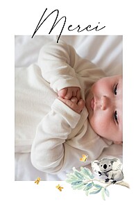Carte de remerciement animaux petit koala pictos (portrait) blanc Carte de remerciement animaux petit koala pictos (portrait) blanc