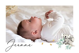 Faire-part de naissance avec photo petit koala pictos (paysage) blanc Faire-part de naissance avec photo petit koala pictos (paysage) blanc
